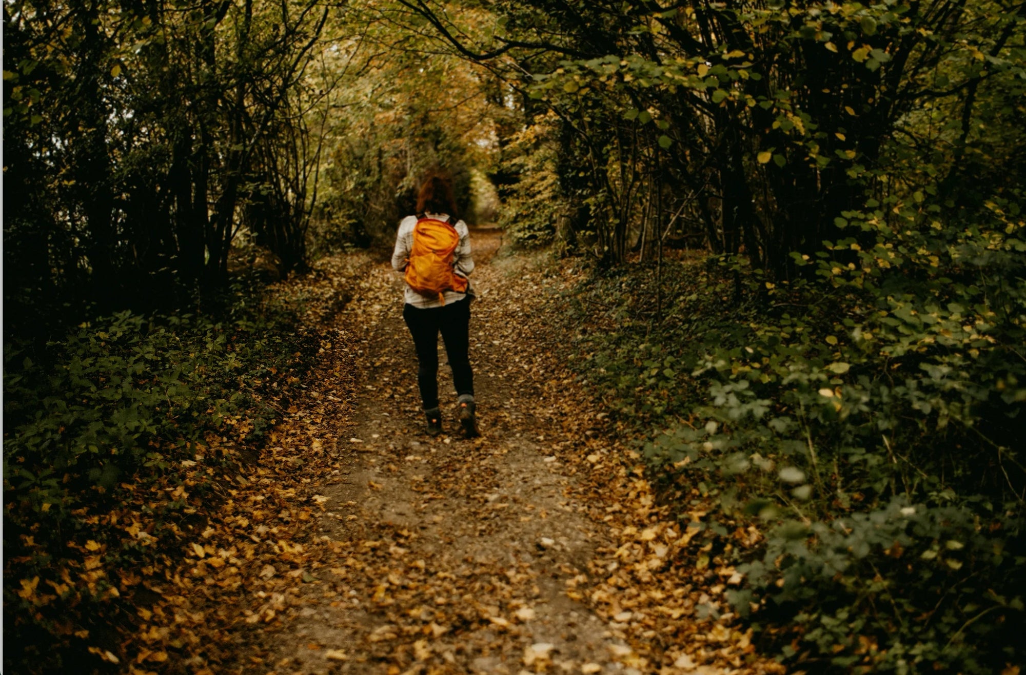 Person hiking on a leaf-covered forest trail with an orange backpack in autumn