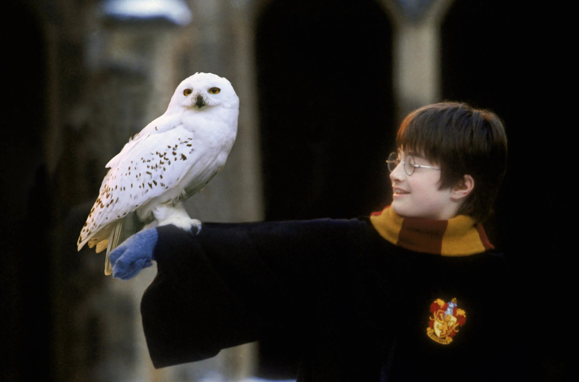Harry Potter in Gryffindor robe holding a snowy owl, Hedwig, inside Hogwarts