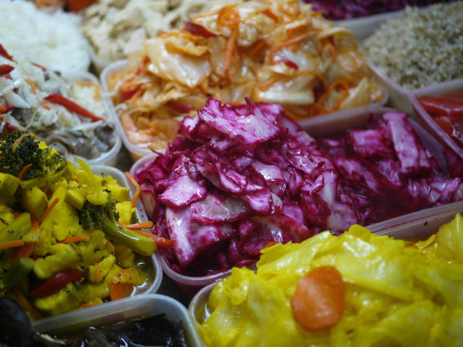 Self-Care from the Inside Out: Probiotics and the Gut–Brain Connection